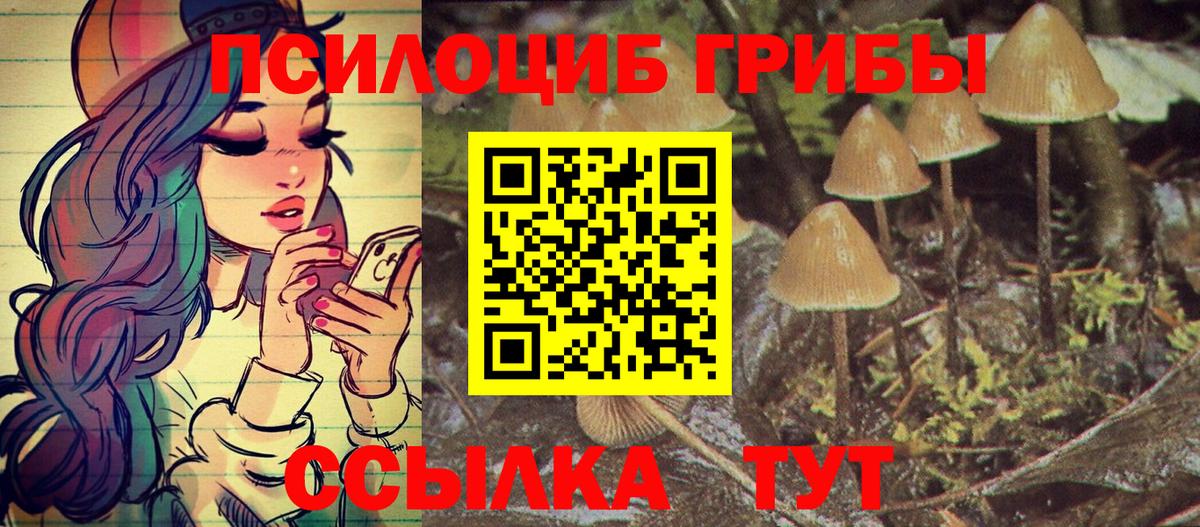 Галлюциногенные грибы прущие грибы Ишимбай